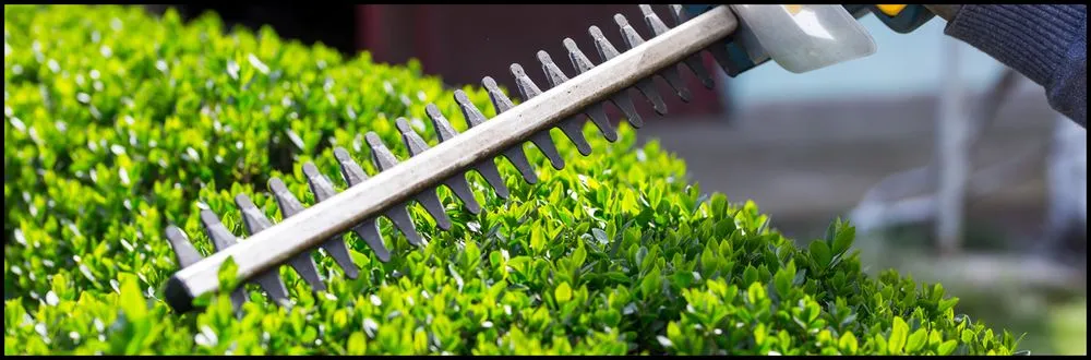 Professional landscape installation experts serving Bakersfield, CA - Landscape Perfection