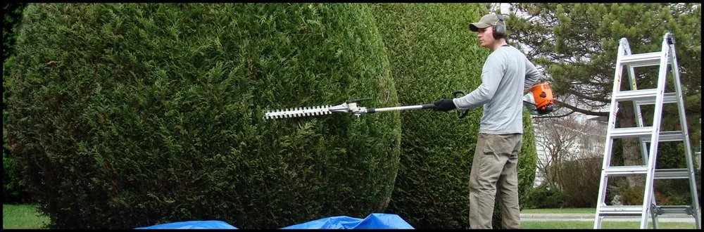 Trusted garden landscaping experts serving Bakersfield, CA - Landscape Perfection