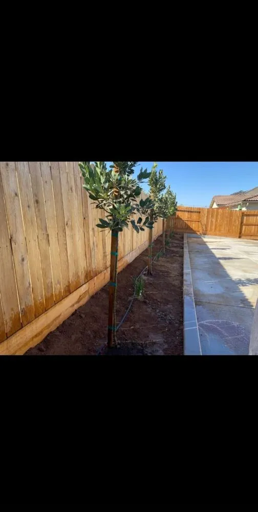 Local outdoor landscaping in Fresno, CA by Landscape Perfomance