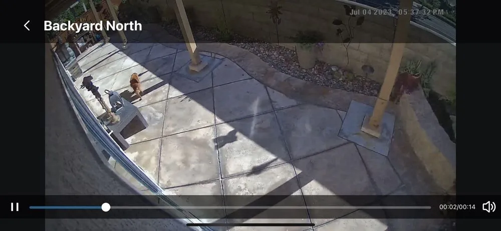 Expert lawn care service experts serving Mission Viejo, CA - Landscape Plus