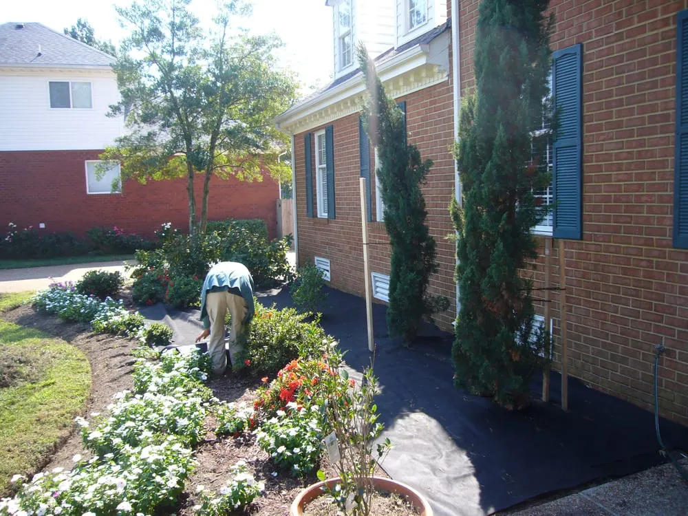 Affordable yard cleanup service in Virginia Beach, VA - Landscape Plus