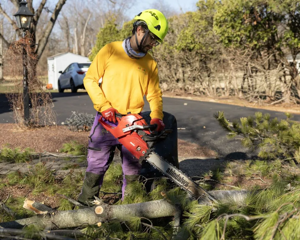 Trusted landscaping services in Dublin, PA by Landscape PRO