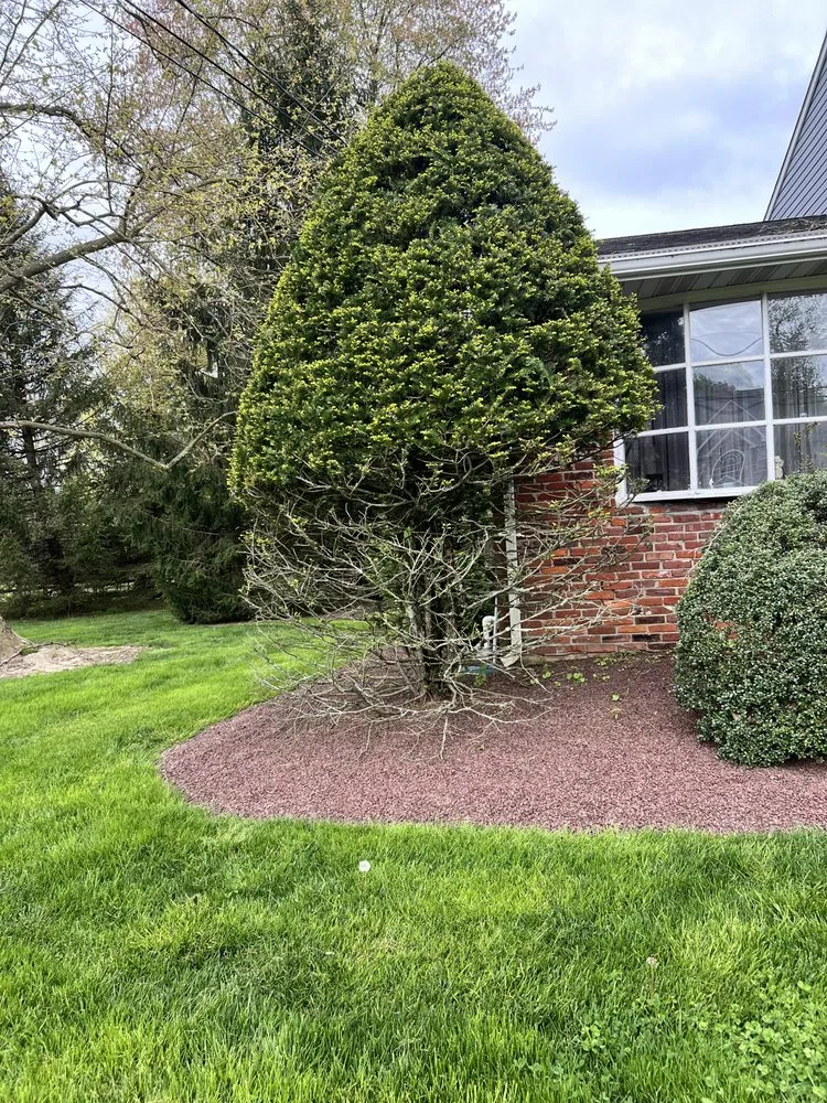 Professional landscaping services in Dublin, PA by Landscape PRO