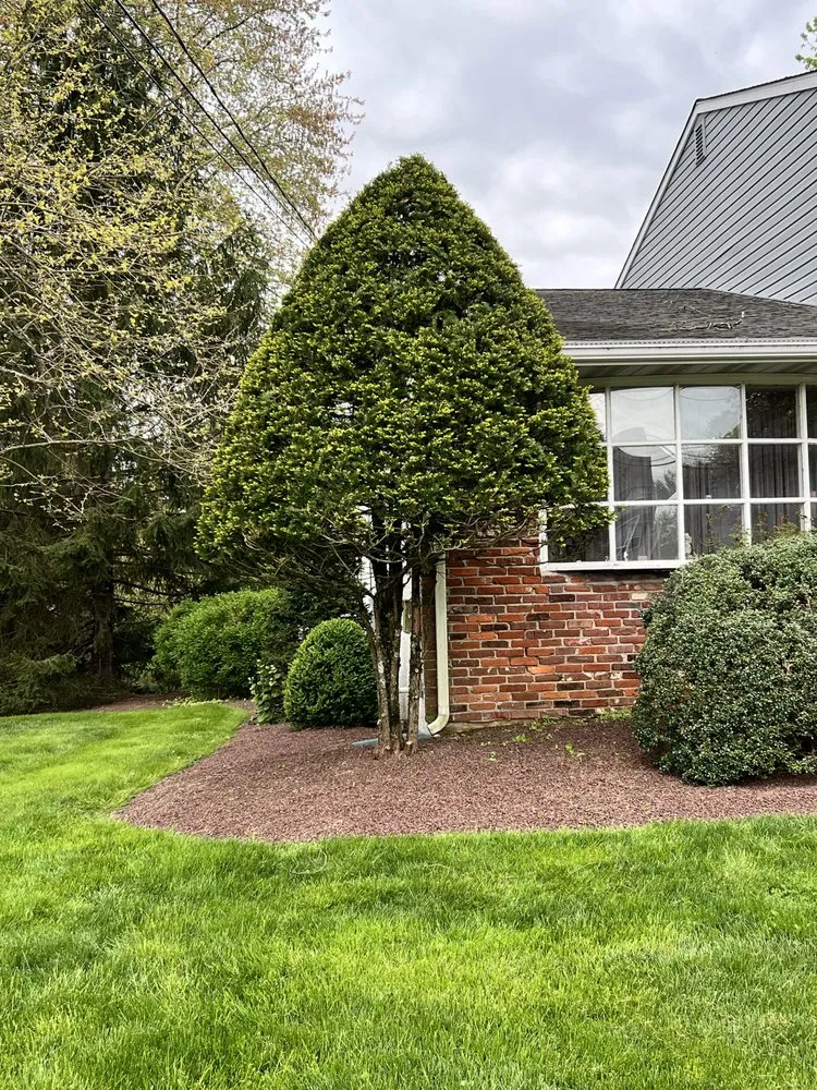 Trusted yard cleanup service in Dublin, PA by Landscape PRO