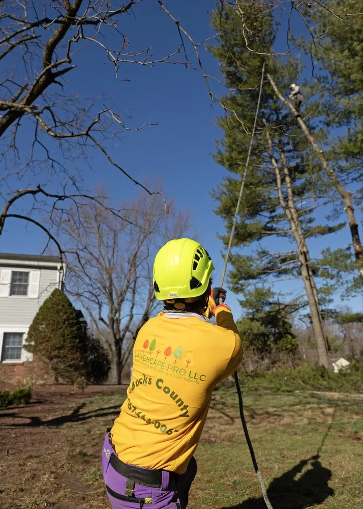 Custom landscape installation for homes in Dublin, PA by Landscape PRO
