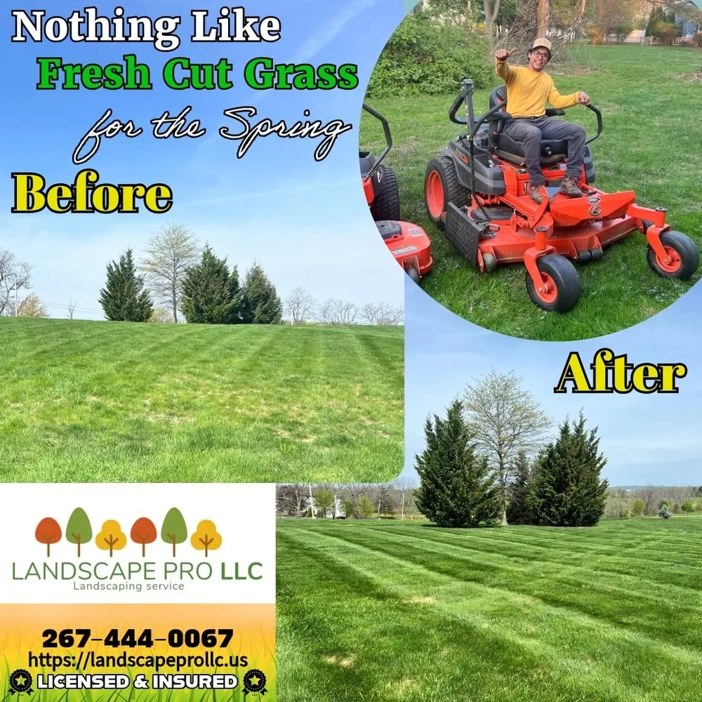 Trusted yard cleanup service in Dublin, PA - Landscape PRO