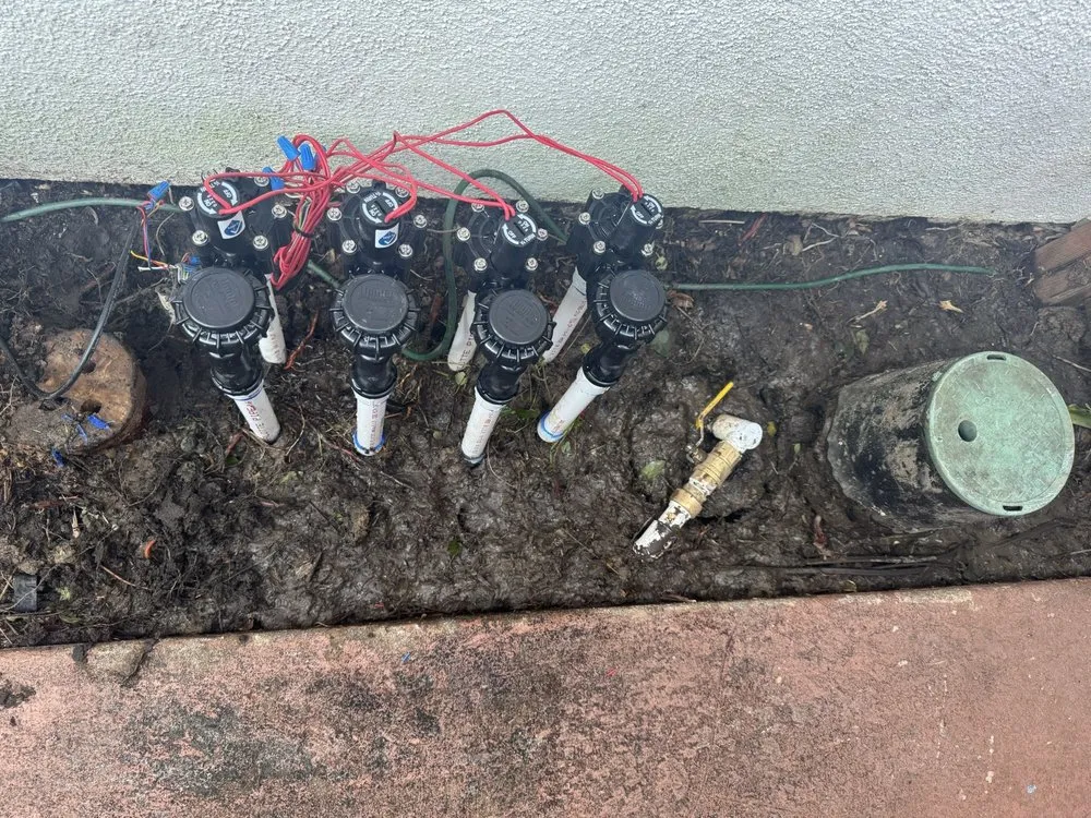 Custom lawn care service experts serving Oceanside, CA - Landscape-Pro