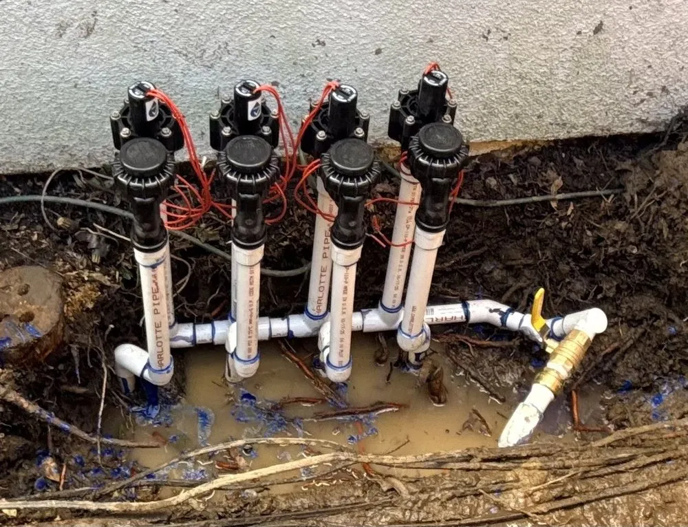 Reliable landscape installation near you across Oceanside, CA - Landscape-Pro