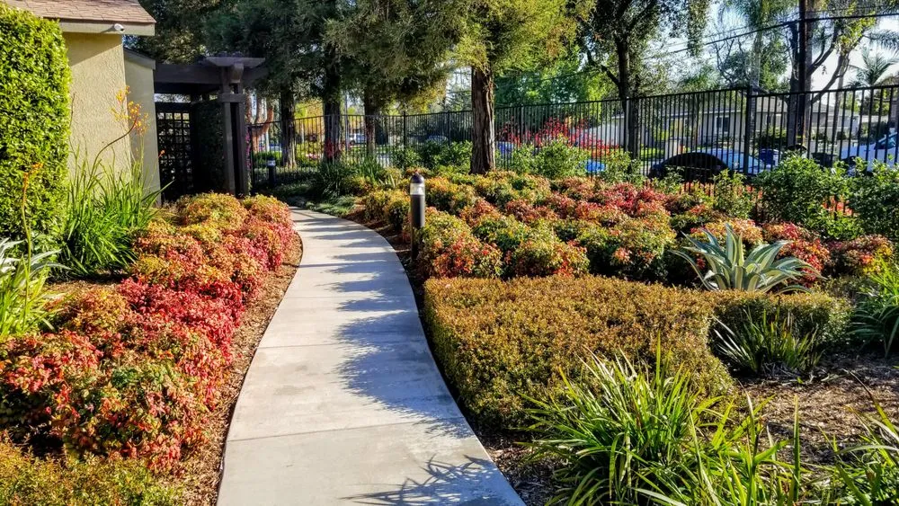 Professional landscape design in Rancho Cucamonga, CA - Landscape Pro