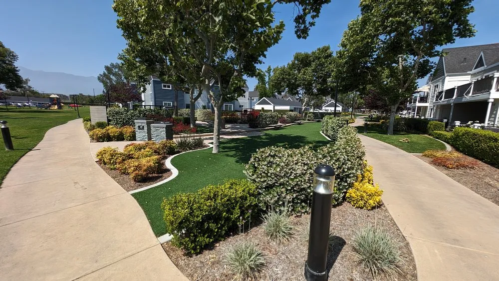 Reliable yard cleanup service in Rancho Cucamonga, CA by Landscape Pro