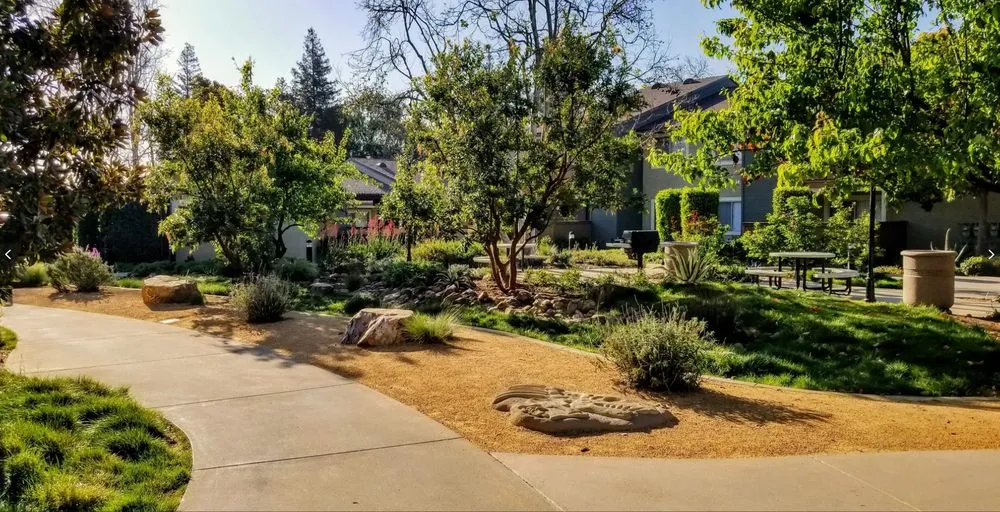 Local yard cleanup service in Rancho Cucamonga, CA - Landscape Pro