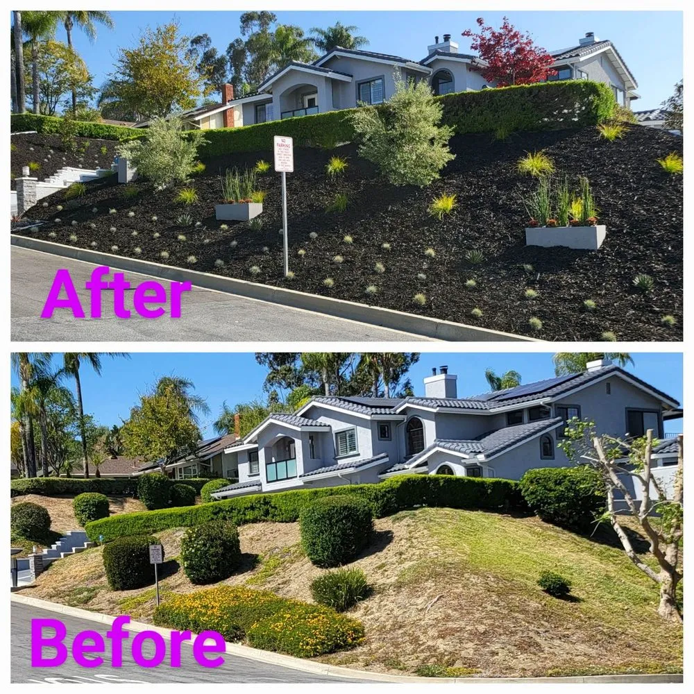 Top-rated landscape installation for year-round maintenance across Corona, CA - Landscape Pro Services