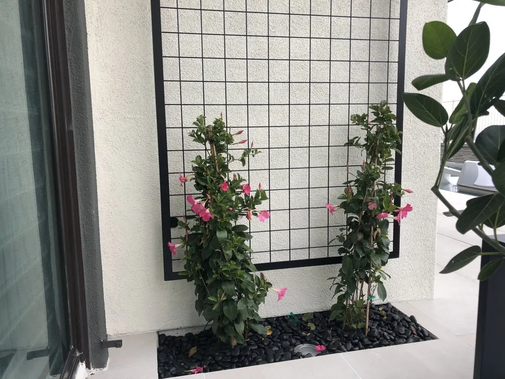 Custom landscape installation in Corona, CA - Landscape Pro Services