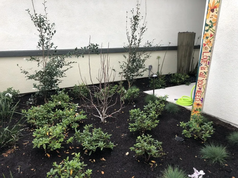 Custom yard cleanup service near you in Corona, CA by Landscape Pro Services