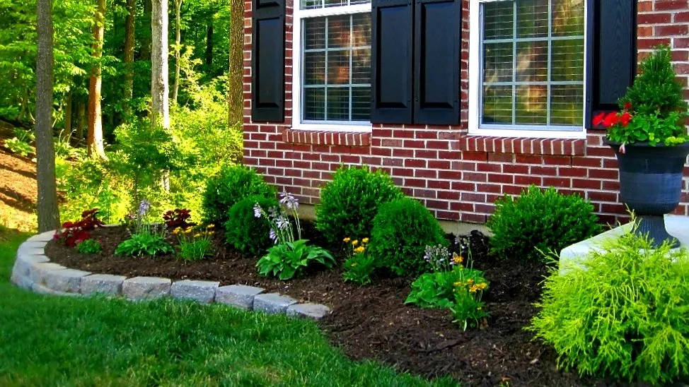 Top-rated outdoor landscaping for beautiful yards across Goshen, OH - Landscape Problem Solvers