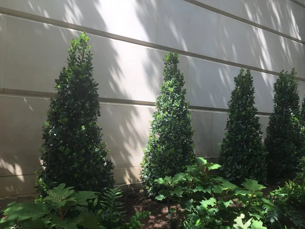 Local landscape installation in Dallas, TX by Landscape Professionals of Texas