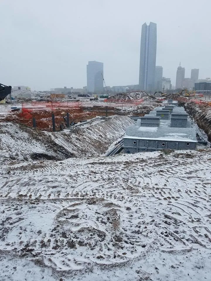 Custom residential landscaping for year-round maintenance in Trussville, AL by Landscape Professionals