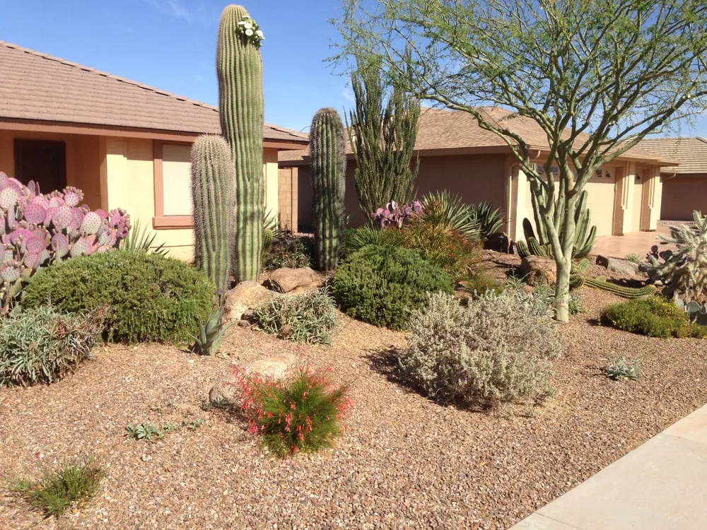 Local landscape installation in Mesa, AZ by Landscape Pros & Design