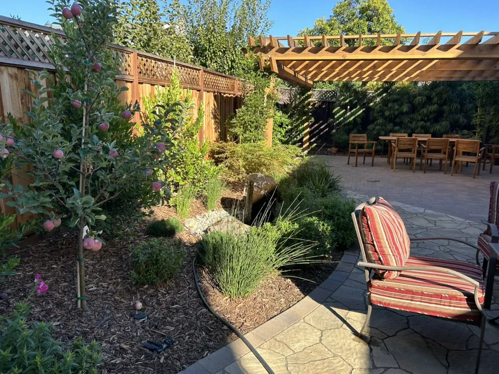 Top-rated residential landscaping near you across Cupertino, CA - Landscape Pros