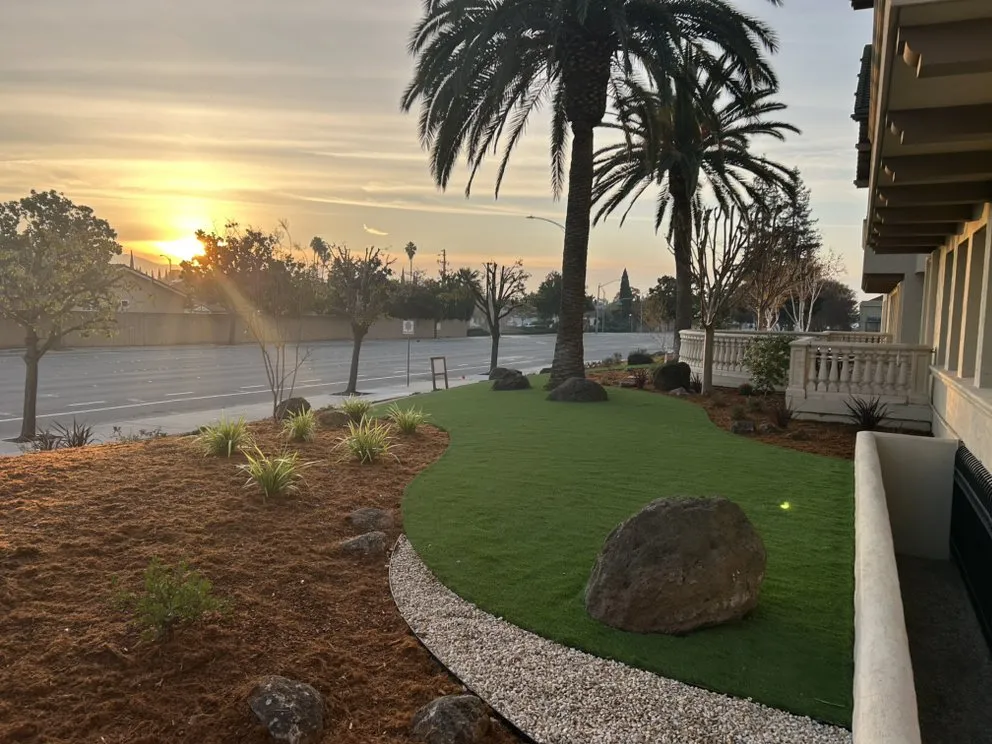 Local yard maintenance in Cupertino, CA - Landscape Pros