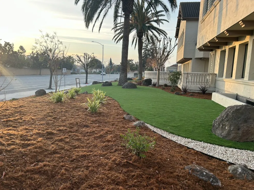 Local yard cleanup service for homes in Cupertino, CA by Landscape Pros