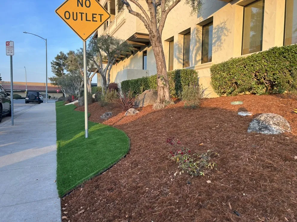 Reliable landscaping services experts serving Cupertino, CA - Landscape Pros