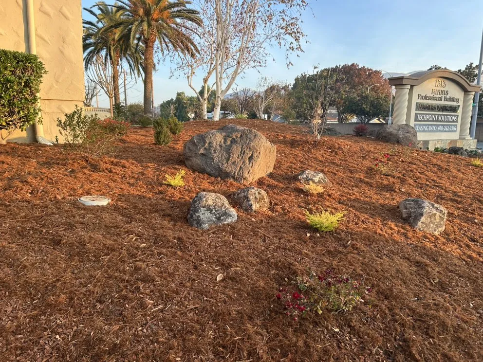 Top-rated landscape design in Cupertino, CA - Landscape Pros
