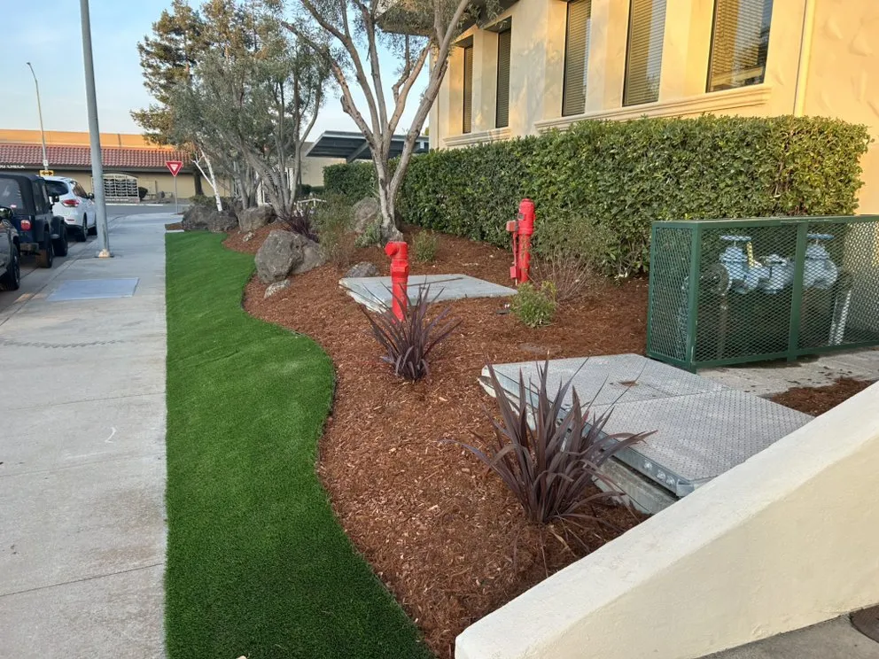 Top-rated yard cleanup service in Cupertino, CA - Landscape Pros