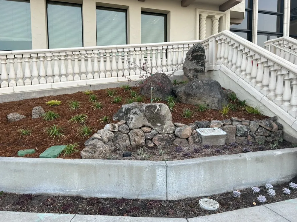 Custom yard maintenance for year-round maintenance across Cupertino, CA - Landscape Pros
