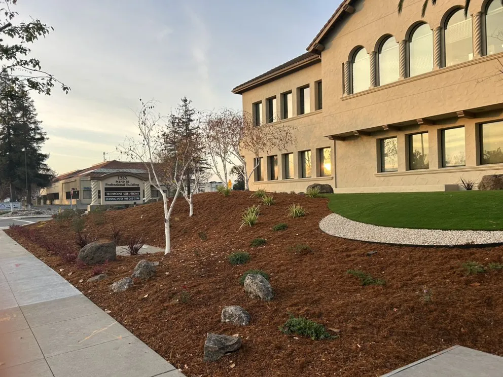 Expert residential landscaping for residential properties in Cupertino, CA by Landscape Pros