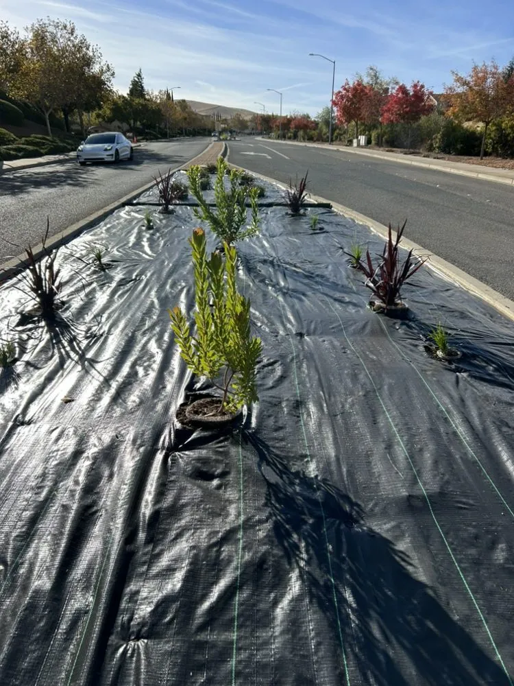 Reliable garden landscaping in Cupertino, CA by Landscape Pros