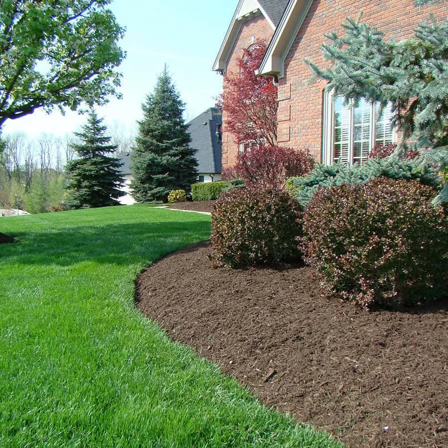 Top-rated yard cleanup service in Elgin, IL by Landscape Pros