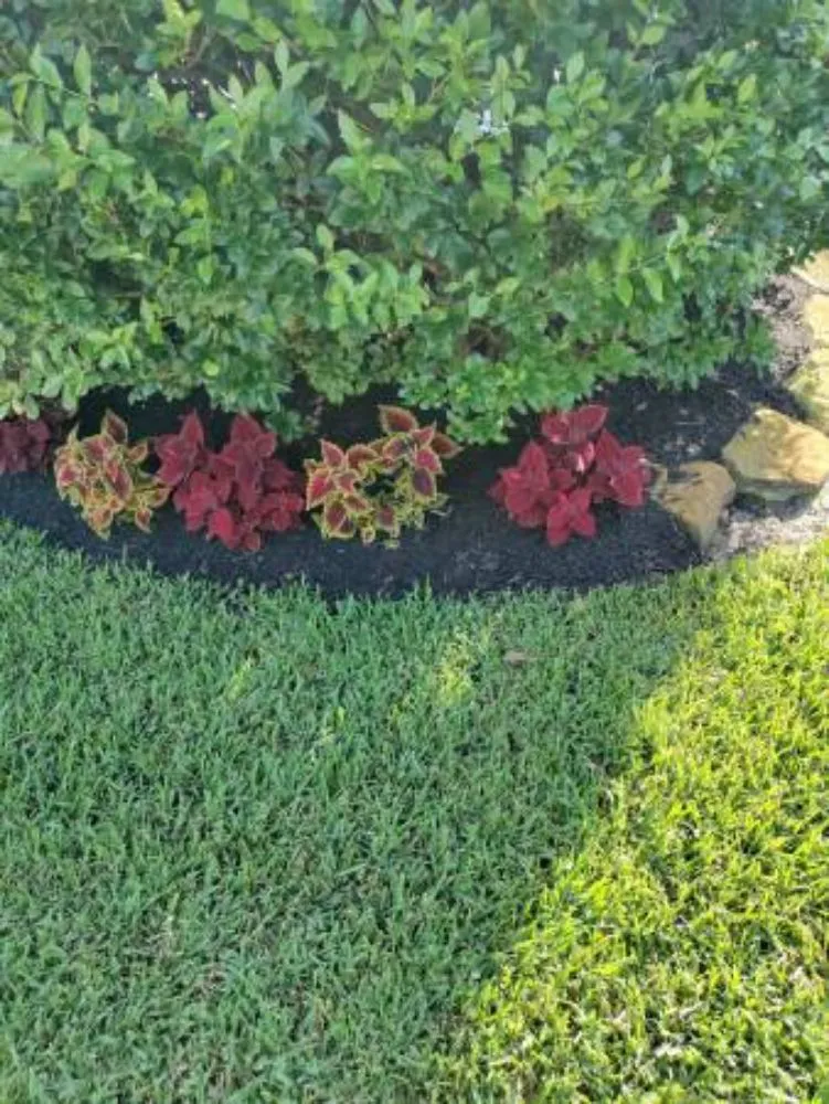 Local landscape design for year-round maintenance across Spring, TX - Landscape Pros Nearby