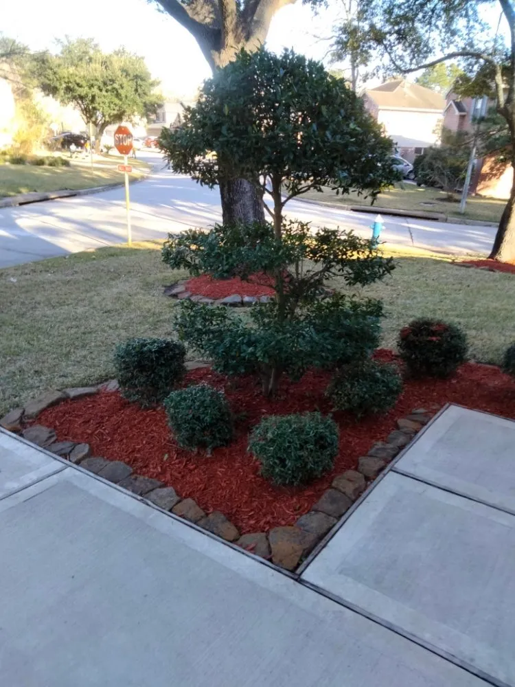 Trusted residential landscaping in Spring, TX - Landscape Pros Nearby