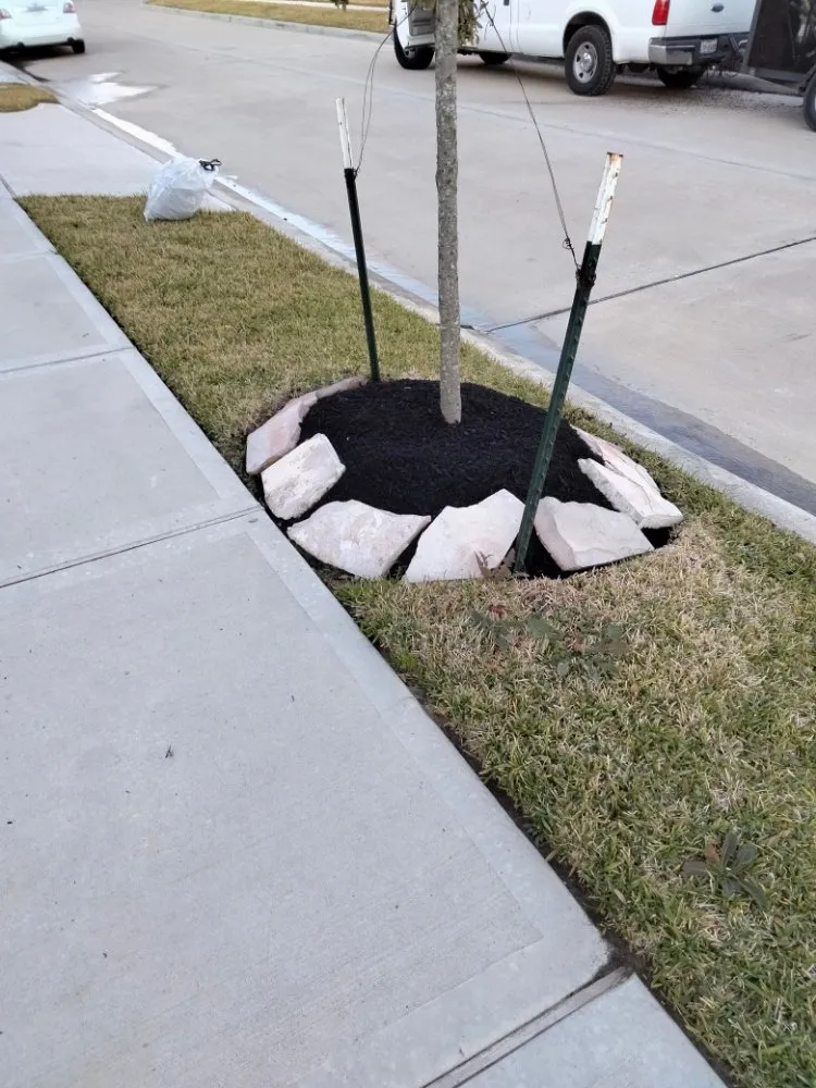 Local lawn mowing service in Spring, TX by Landscape Pros Nearby