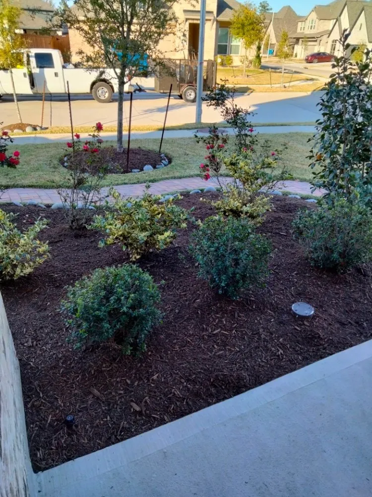 Local outdoor landscaping experts serving Spring, TX - Landscape Pros Nearby