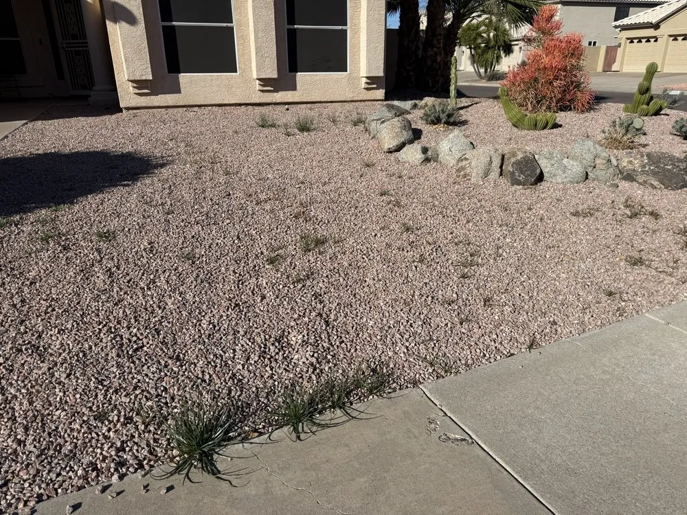 Top-rated yard cleanup service in Scottsdale, AZ by Landscape Pros