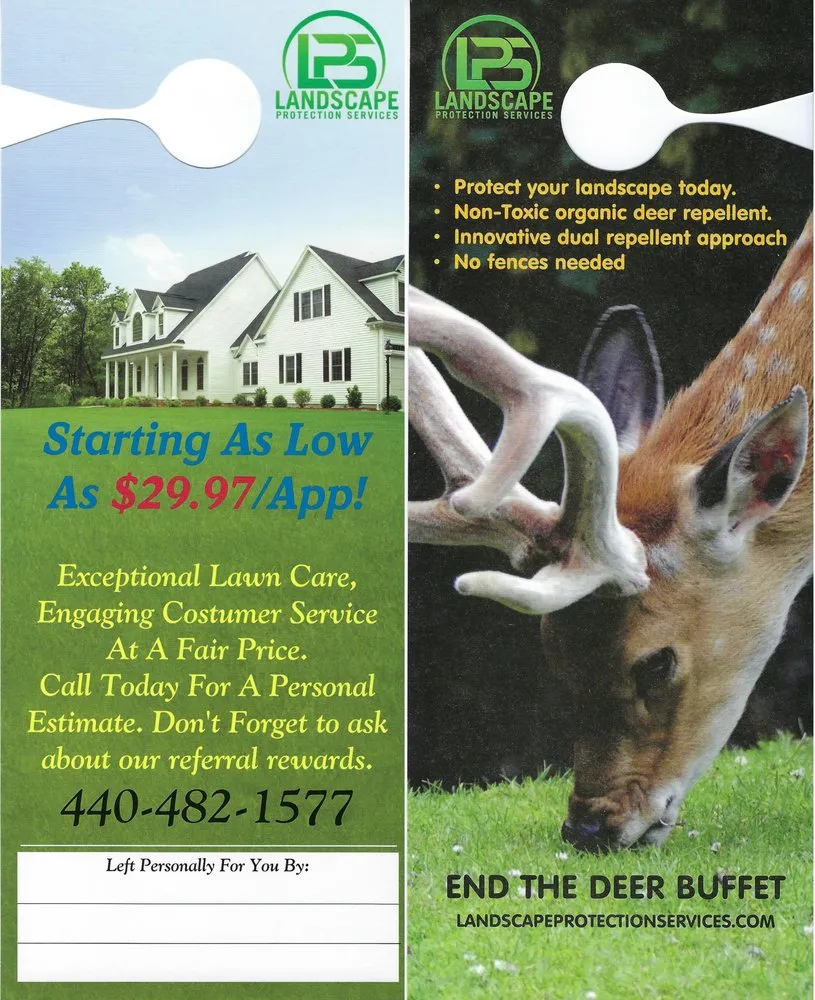 Reliable yard maintenance in Vermilion, OH by Landscape Protection services