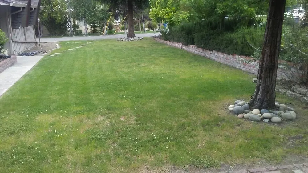 Trusted yard cleanup service with custom design in Gilroy, CA by Landscape R Us