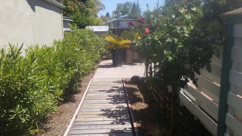 Top-rated yard cleanup service in Gilroy, CA - Landscape R Us