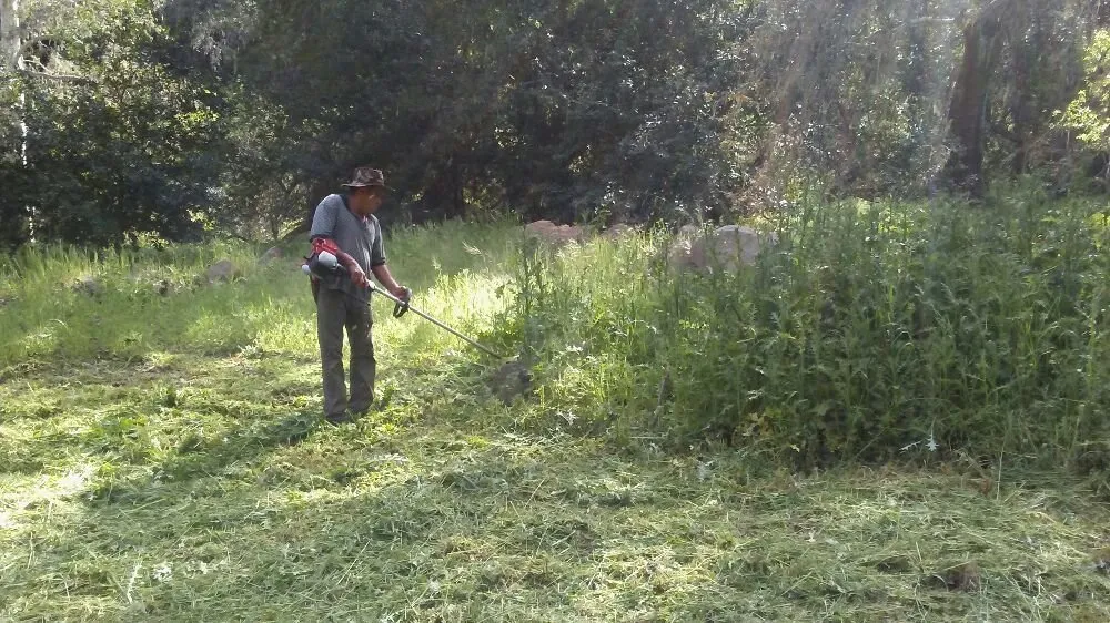 Local yard maintenance experts serving Gilroy, CA - Landscape R Us