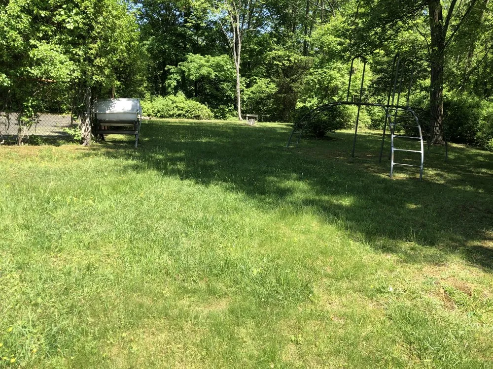 Custom yard cleanup service in Ossining, NY by Landscape REA