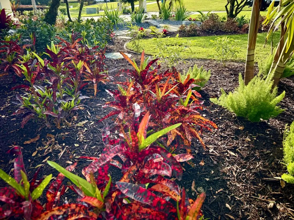 Professional garden landscaping experts serving Fort Lauderdale, FL - Landscape Rehab