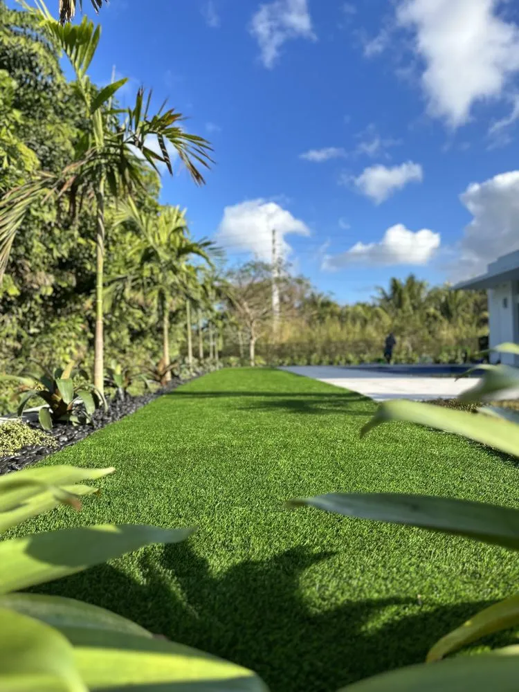 Expert lawn care service for outdoor upgrades across Fort Lauderdale, FL - Landscape Rehab