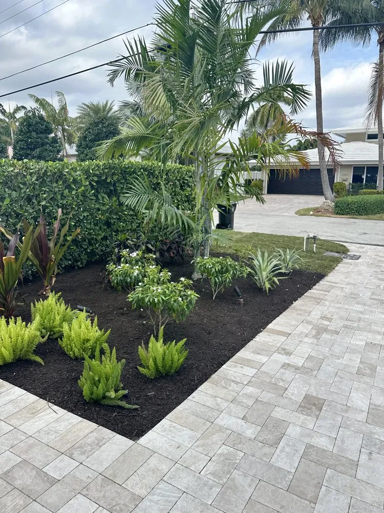 Expert landscape design for outdoor upgrades across Fort Lauderdale, FL - Landscape Rehab