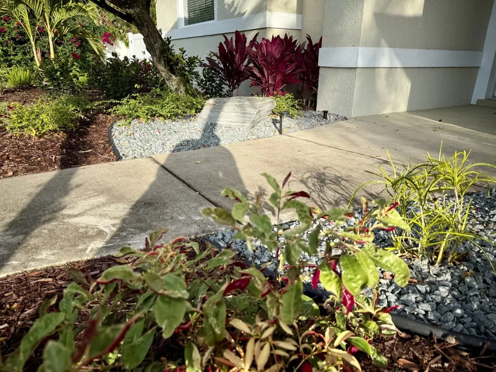 Reliable landscape design in Fort Lauderdale, FL - Landscape Rehab