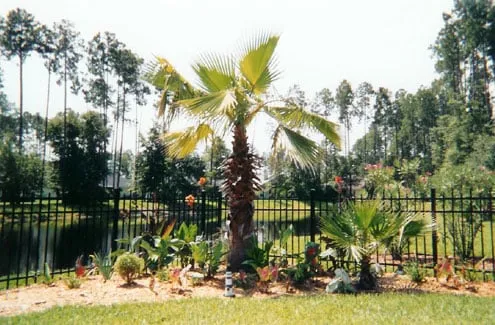 Trusted landscape design in Fleming Island, FL - Landscape Remedies