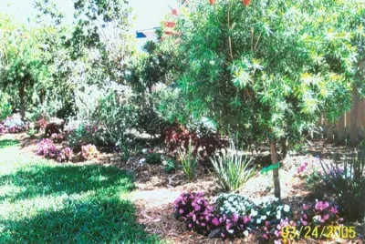 Affordable garden landscaping in Fleming Island, FL - Landscape Remedies