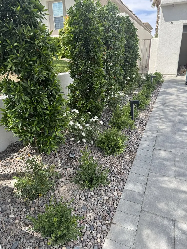 Expert garden landscaping in Henderson, NV - Landscape Remodeling