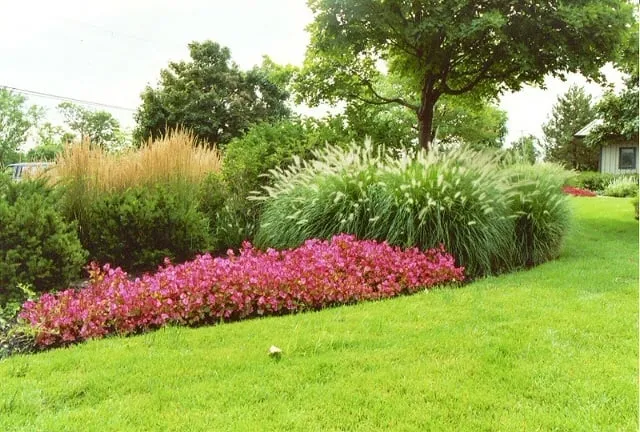 Top-rated landscape design experts serving Bonduel, WI - Landscape Renaissance